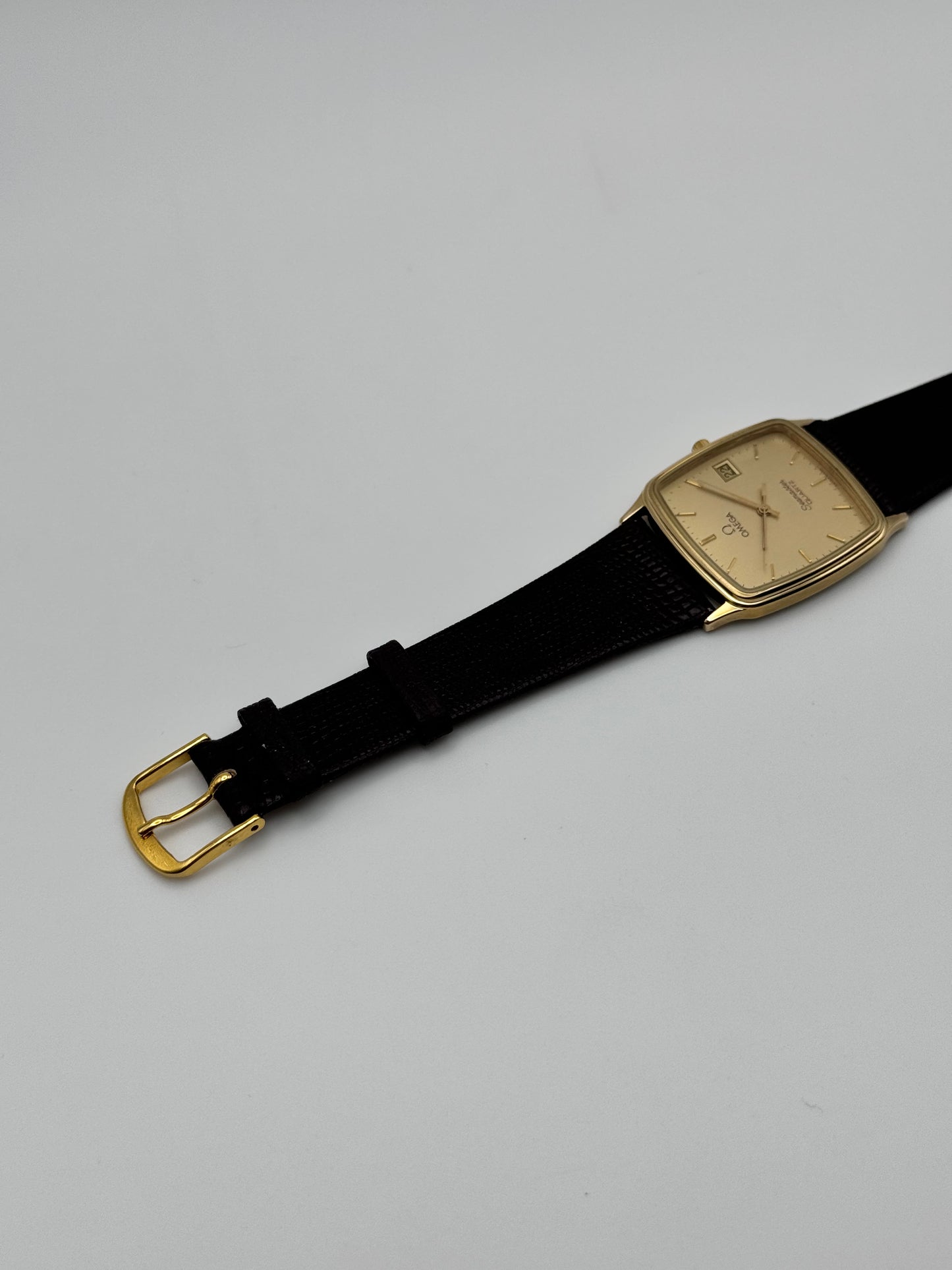 Omega Seamaster Quartz Date 196.0264