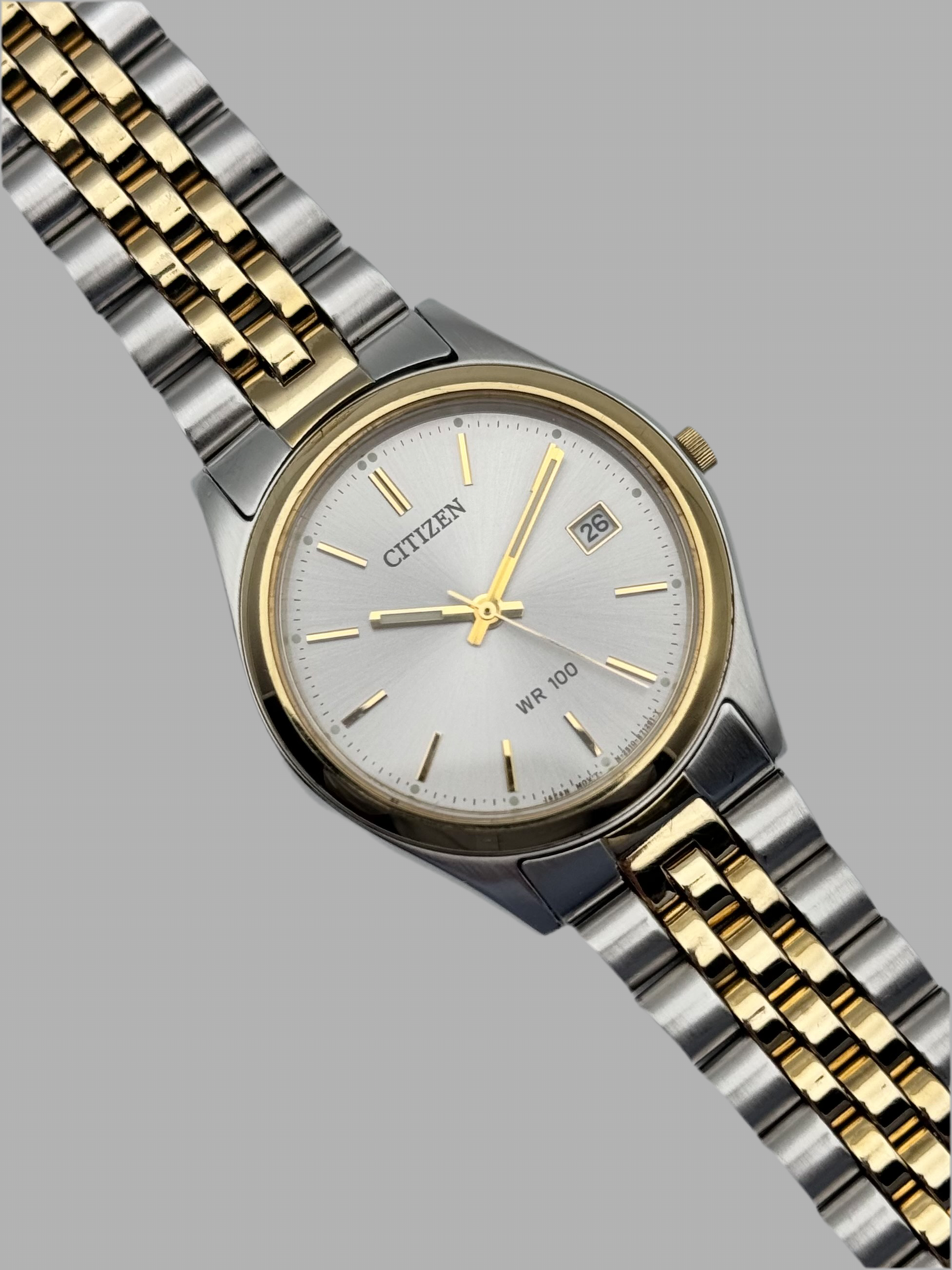 Citizen WR 100 Quartz Date Jubilee